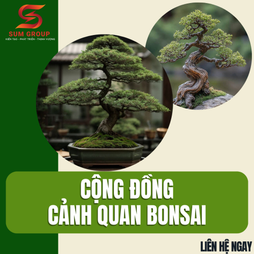 Cộng Đồng Cảnh Quan Cây Bonsai